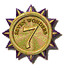 7 Wonders of the Web Award